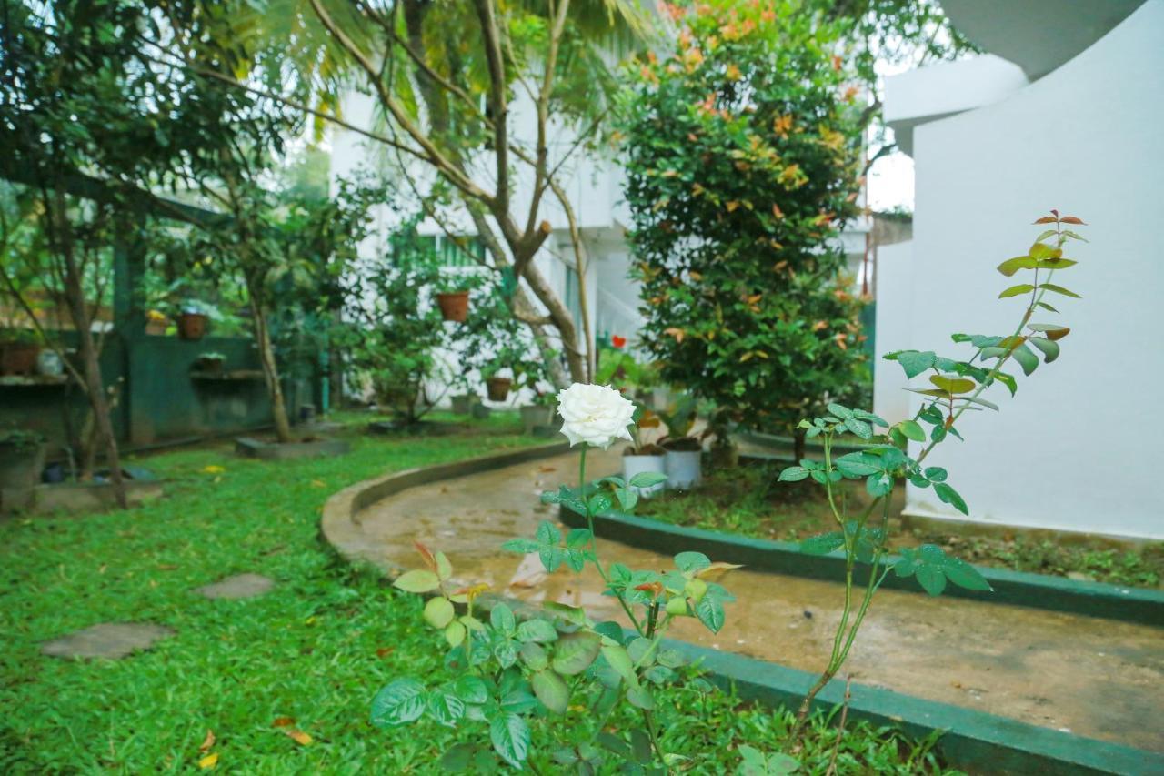 Suwa Arana Resort 미리사 외부 사진